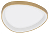 Накладной светильник Citilux GENKA SMART CL756A142 100_100_3086922